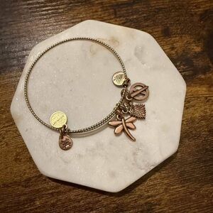 Alex and Ani Sansa Stark Game Of Thrones Bangle